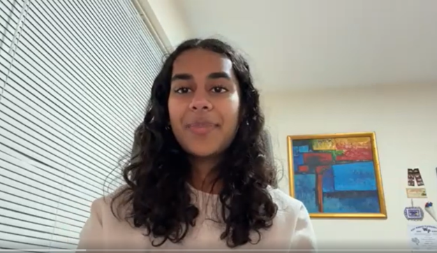 Video Slider